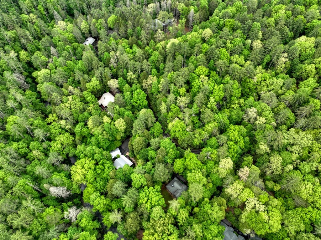 300 River Road, Cherry Log GA 30522 - Photo
