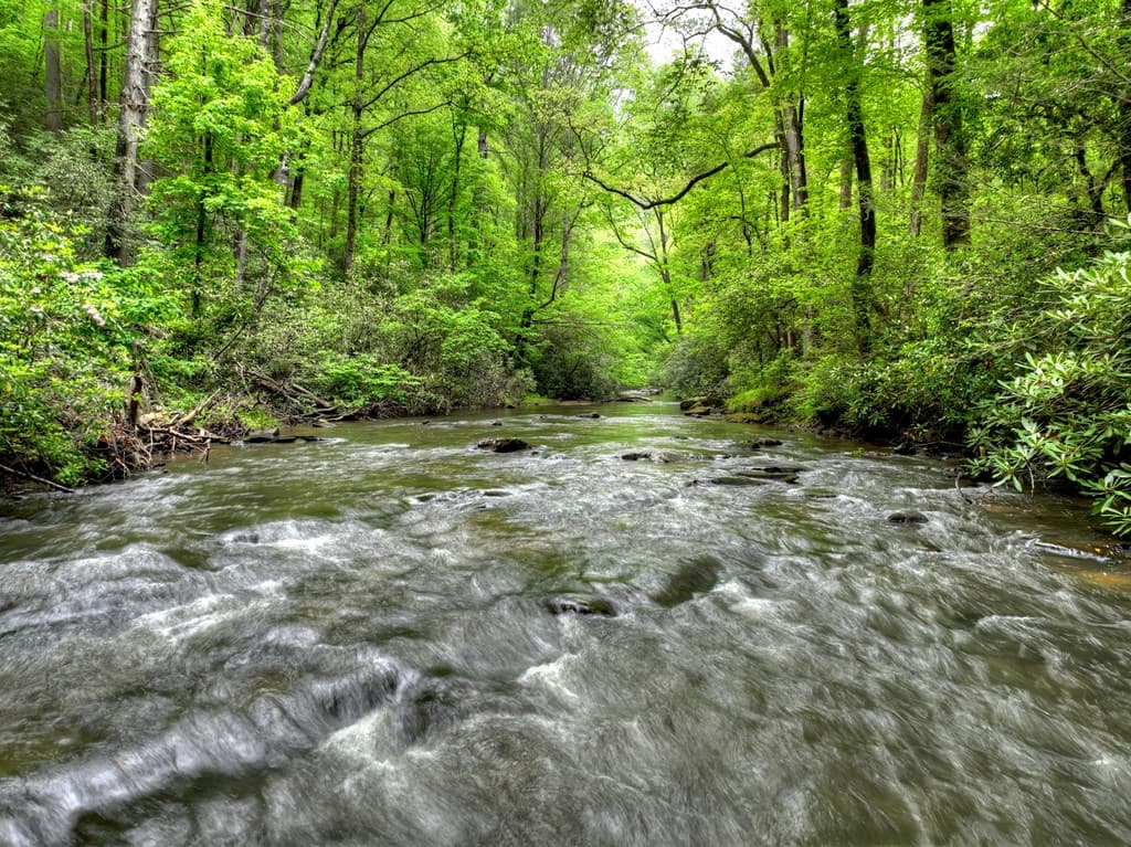 300 River Road, Cherry Log GA 30522 - Photo