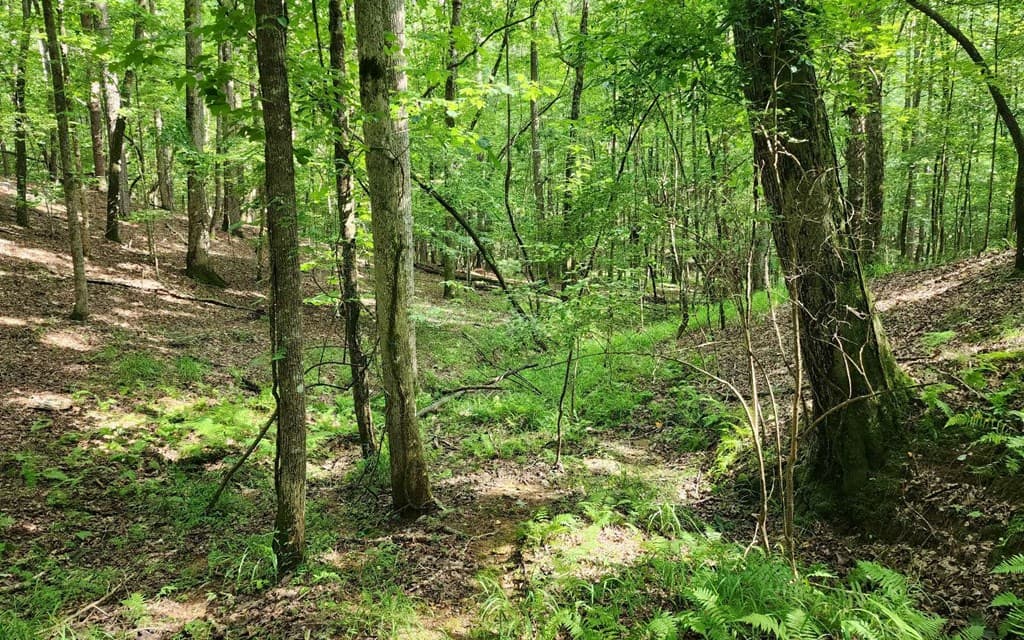 0 Oneida Circle, Ellijay GA 30540 - Photo