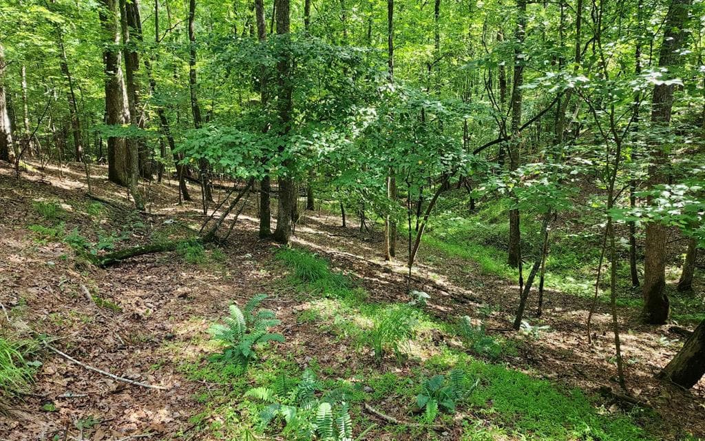 0 Oneida Circle, Ellijay GA 30540 - Primary photo