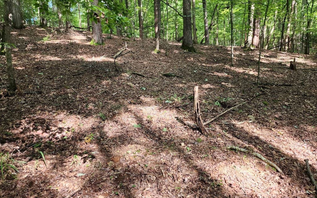 0 Oneida Circle, Ellijay GA 30540 - Photo