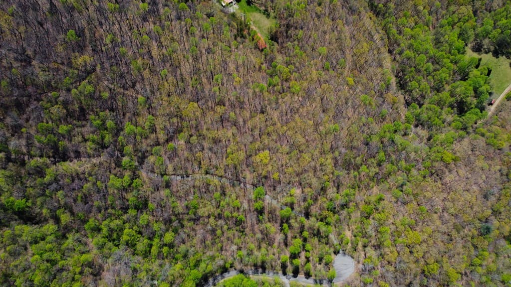29 AC Hidden Valley Drive, Ellijay GA 30536 - Photo