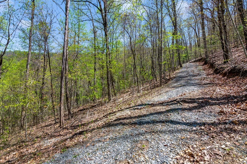 29 AC Hidden Valley Drive, Ellijay GA 30536 - Photo