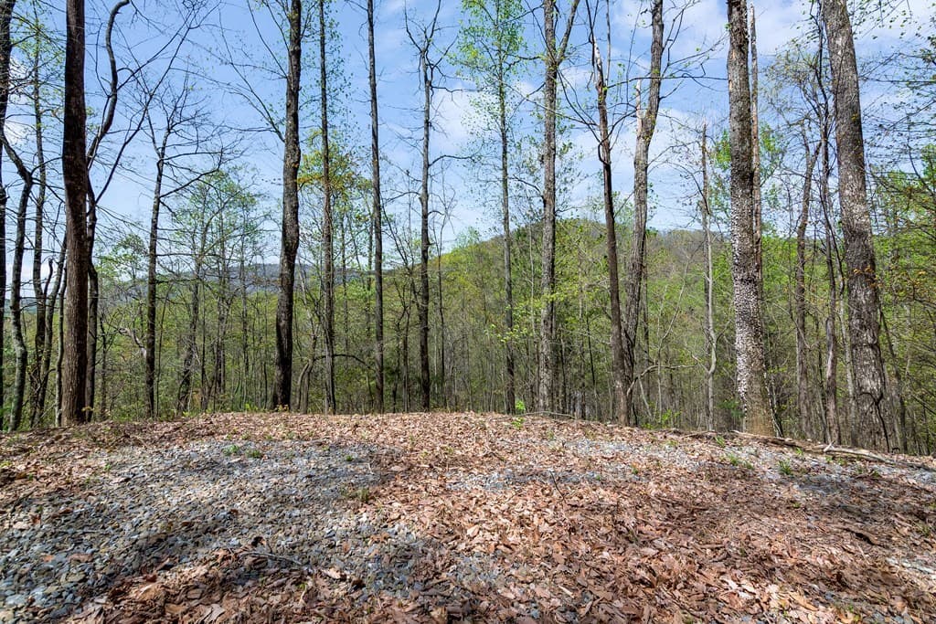 29 AC Hidden Valley Drive, Ellijay GA 30536 - Photo