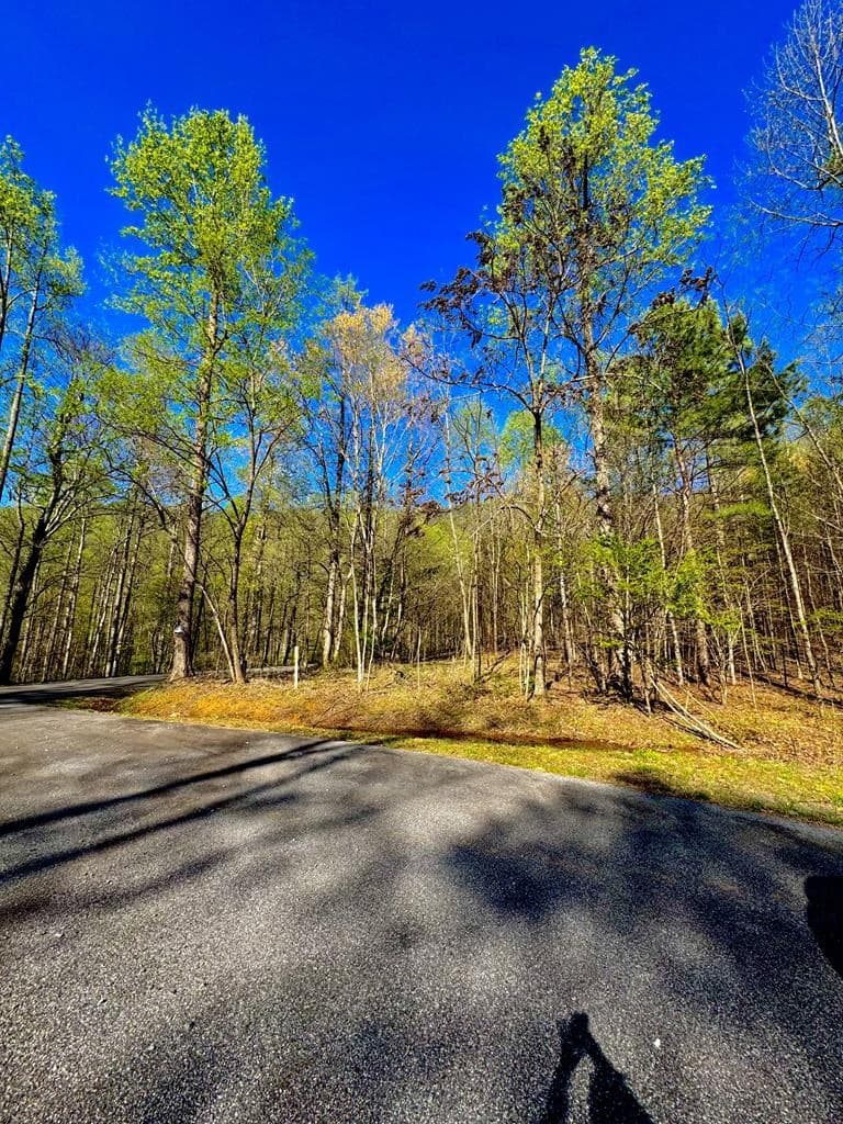 29 AC Hidden Valley Drive, Ellijay GA 30536 - Photo