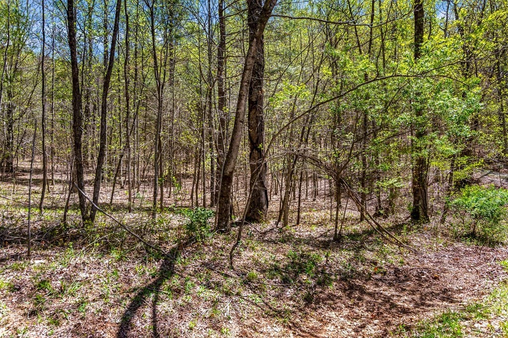 29 AC Hidden Valley Drive, Ellijay GA 30536 - Photo