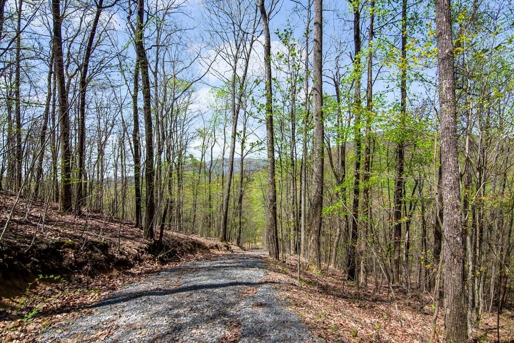 29 AC Hidden Valley Drive, Ellijay GA 30536 - Photo