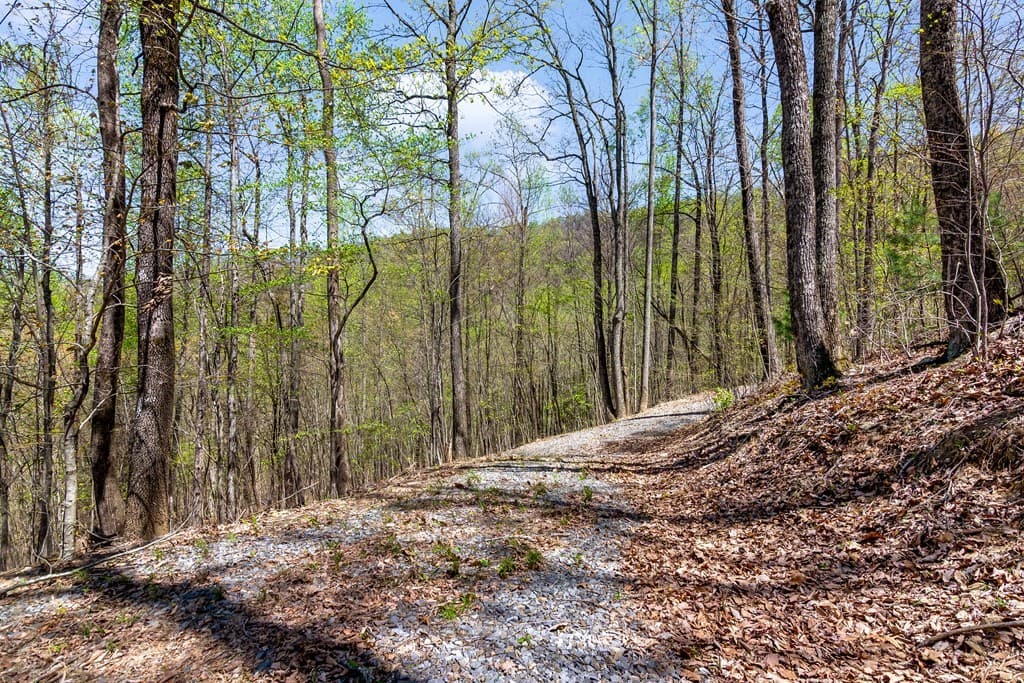 29 AC Hidden Valley Drive, Ellijay GA 30536 - Photo