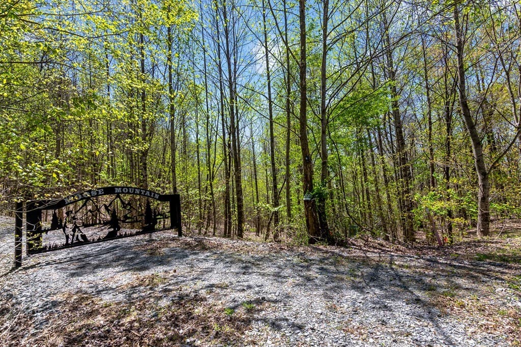 29 AC Hidden Valley Drive, Ellijay GA 30536 - Photo