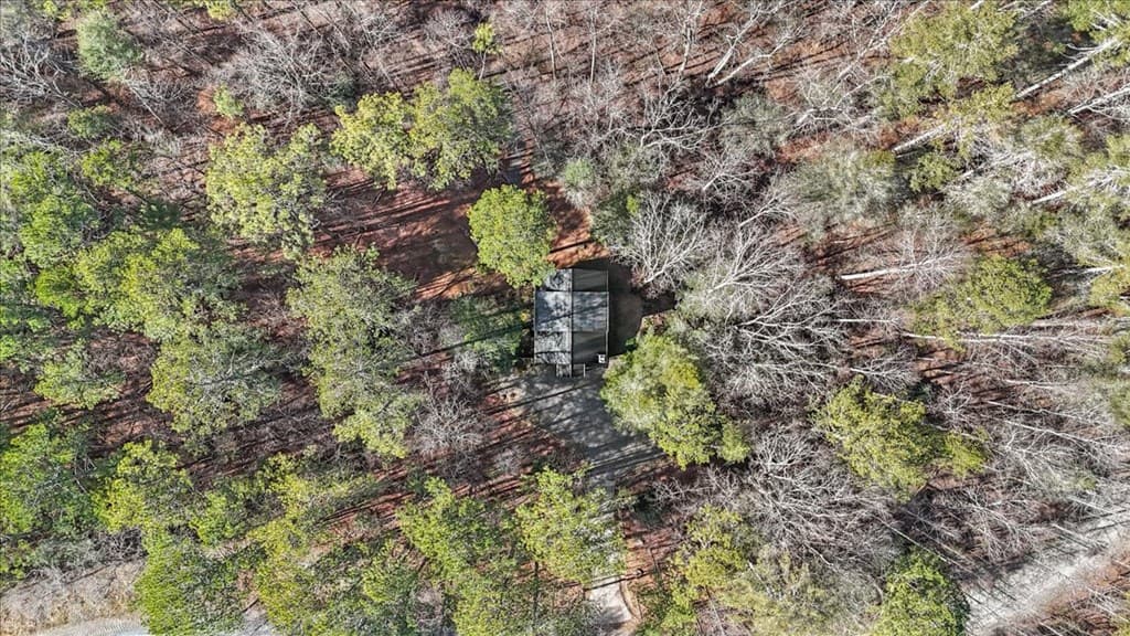 61 Grove Lane, Ellijay GA 30540 - Photo