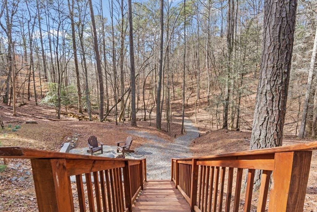61 Grove Lane, Ellijay GA 30540 - Photo