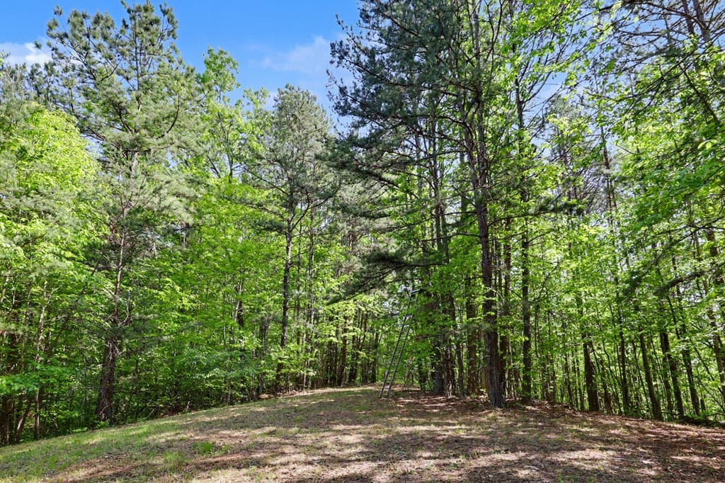 3235 Hiwassee Dam Access, Murphy NC 28906 - Photo