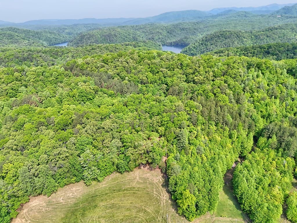 3235 Hiwassee Dam Access, Murphy NC 28906 - Photo