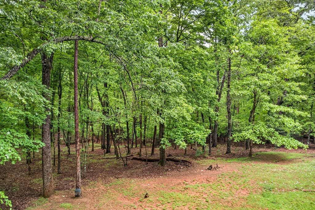 160 Acadia Drive, Ellijay GA 30540 - Photo