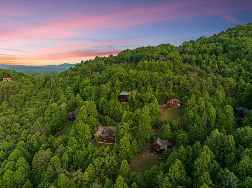 115 Mountain High Drive, Mineral Bluff GA 30559 - Photo