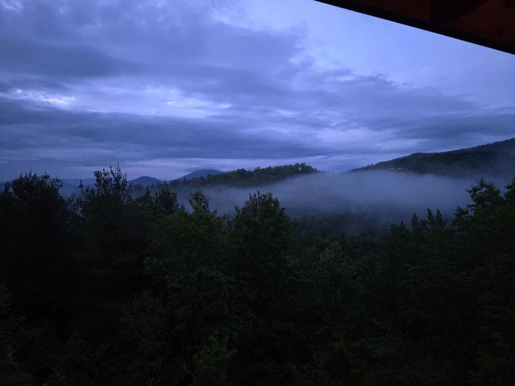 115 Mountain High Drive, Mineral Bluff GA 30559 - Photo