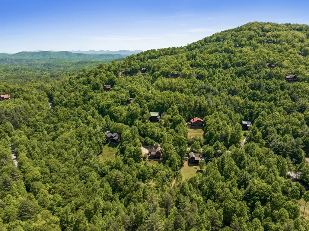 115 Mountain High Drive, Mineral Bluff GA 30559 - Photo