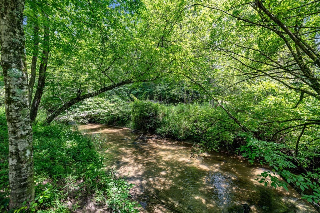 215 Twin Creeks, Blue Ridge GA 30513 - Photo