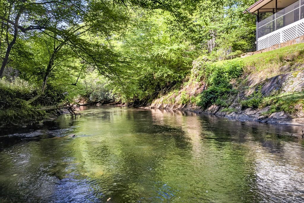 401 Mountain Rivers Road, Mineral Bluff GA 30559 - Photo