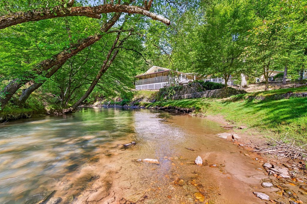 401 Mountain Rivers Road, Mineral Bluff GA 30559 - Photo