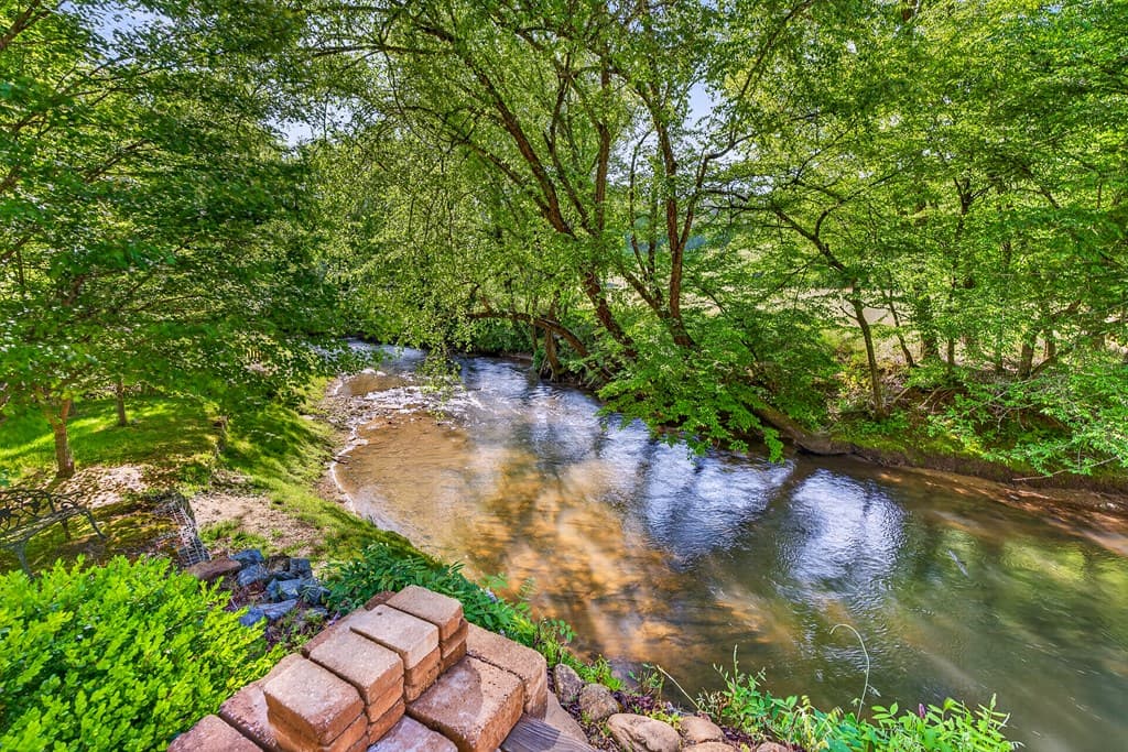 401 Mountain Rivers Road, Mineral Bluff GA 30559 - Photo