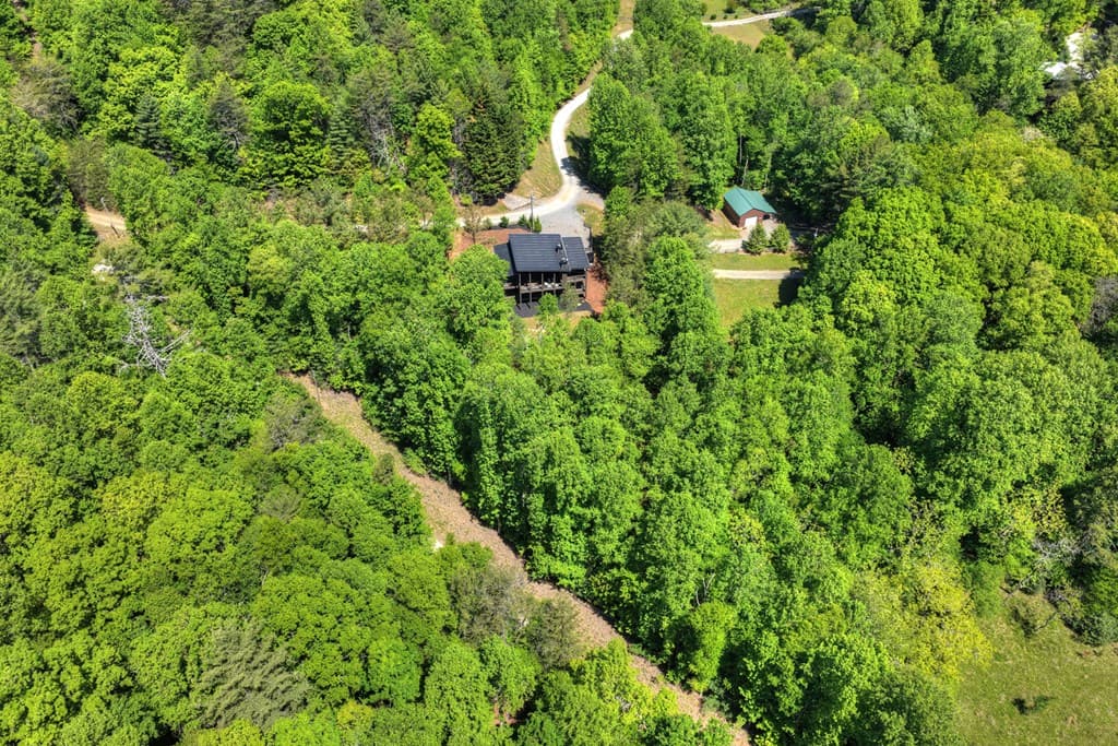 197 Tipton Court, Cherry Log GA 30522 - Photo