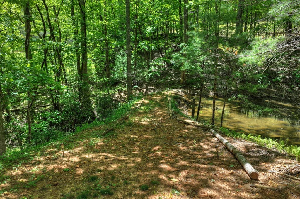 197 Tipton Court, Cherry Log GA 30522 - Photo