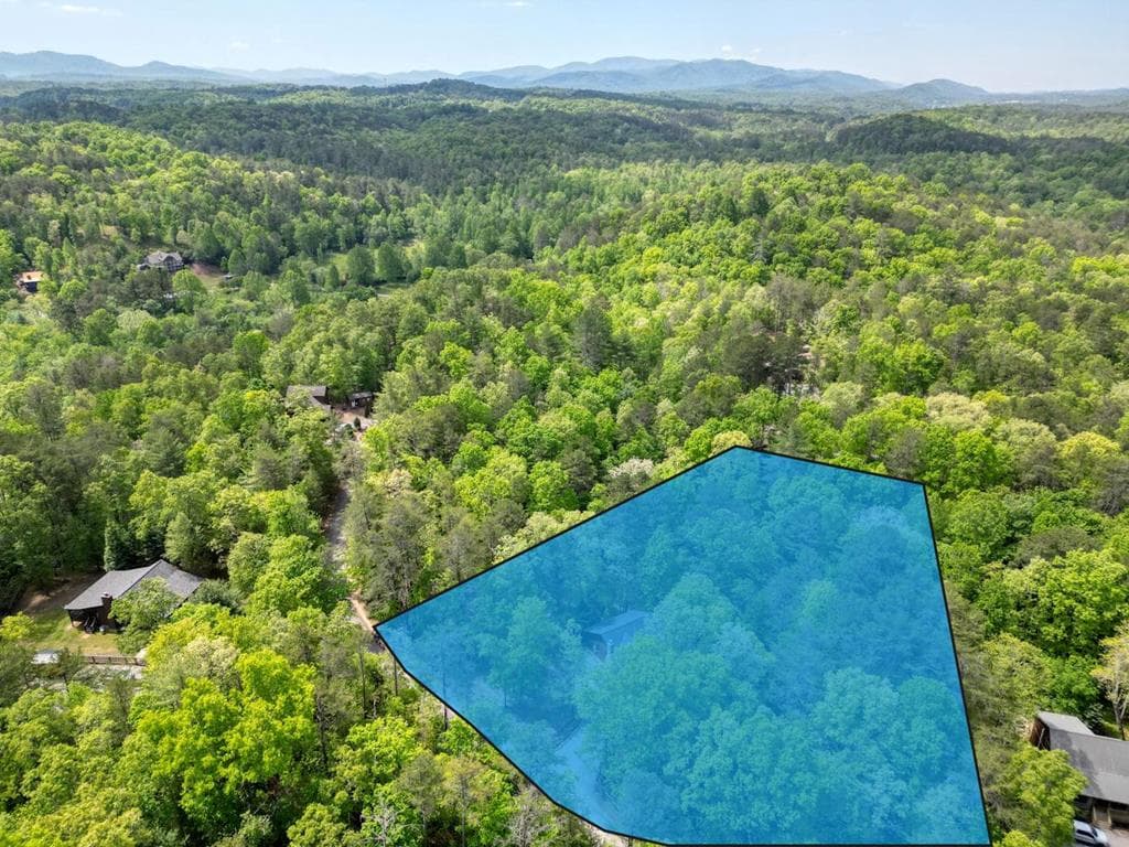 215 The Woods Road, Mineral Bluff GA 30559 - Photo