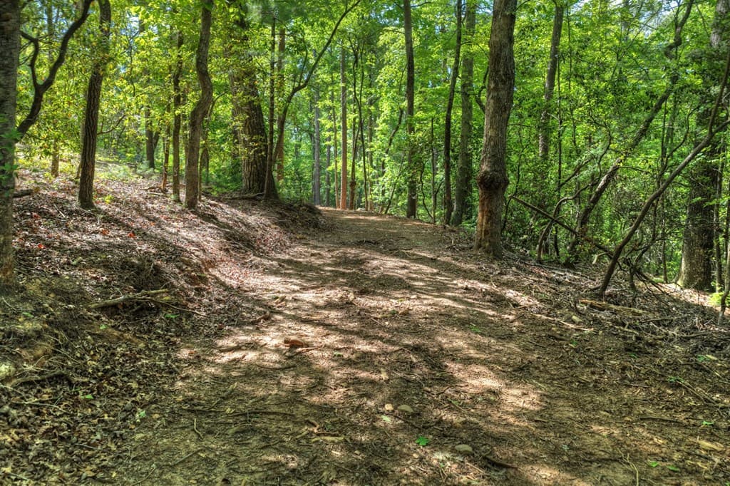200 Fowler Road, Ellijay GA 30540 - Photo