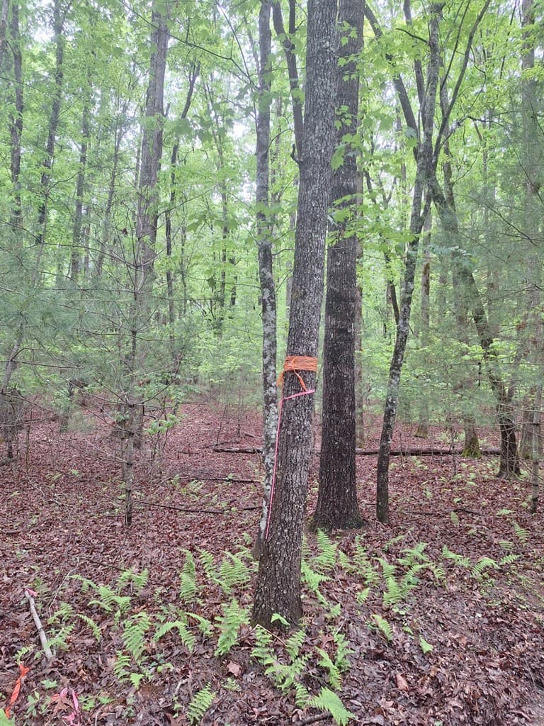 Lot 14 Noontootla Ridge Court, Blue Ridge GA 30513 - Photo