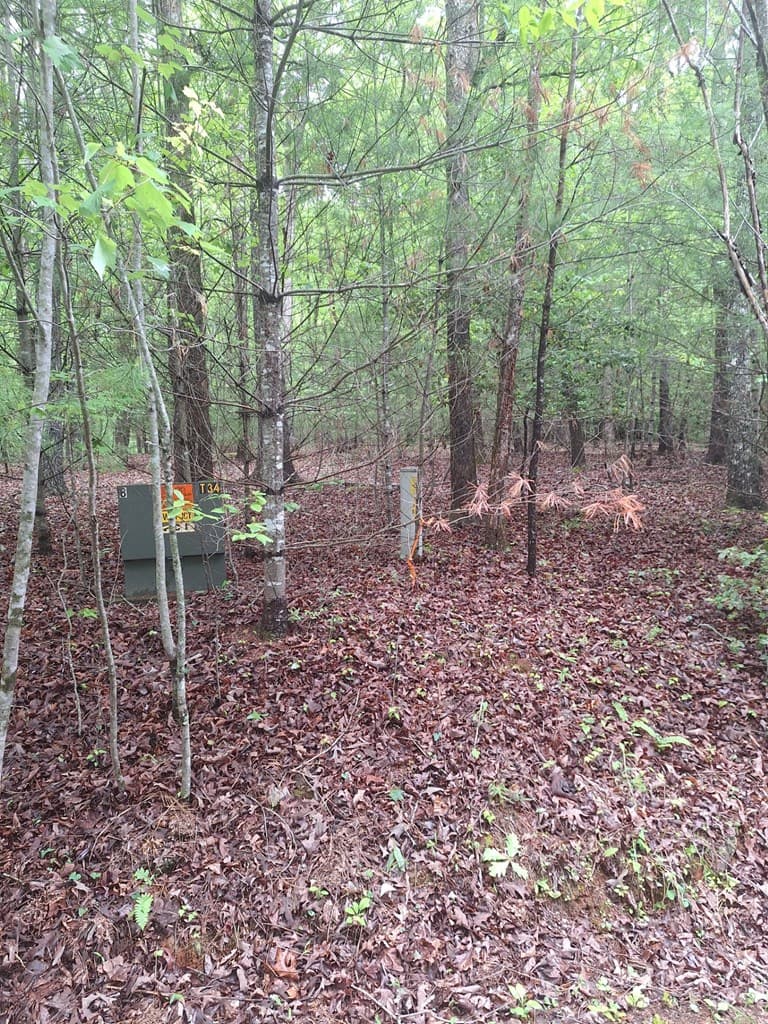 Lot 14 Noontootla Ridge Court, Blue Ridge GA 30513 - Photo