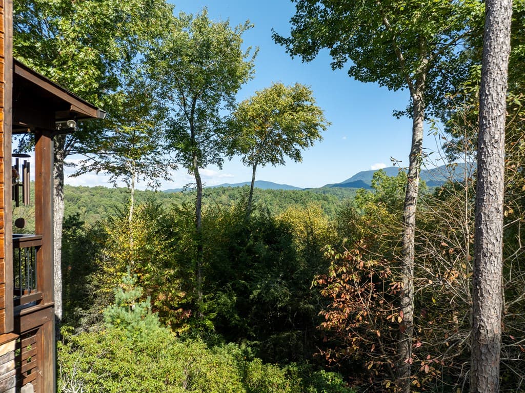 43 Tunica Lane, Ellijay GA 30540 - Photo
