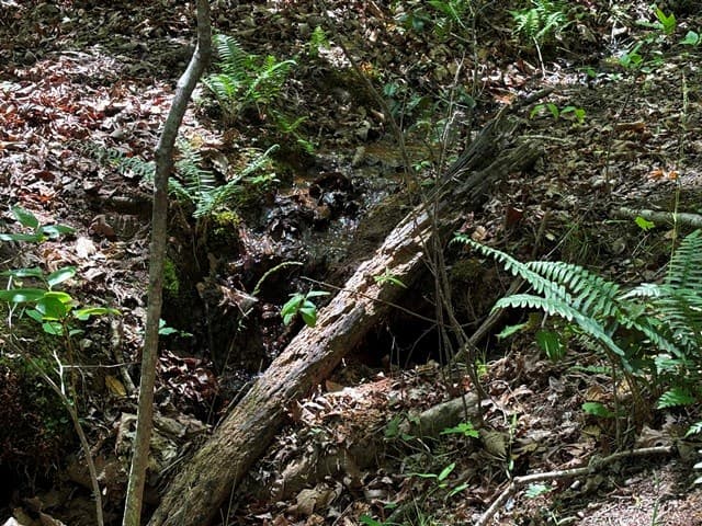 Lot 43 Edgewood Trail, Blairsville GA 30512 - Photo