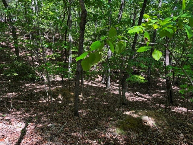 Lot 43 Edgewood Trail, Blairsville GA 30512 - Photo