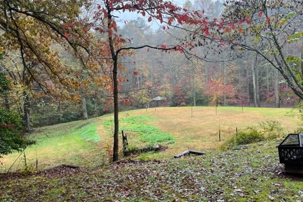 153 January Lane, Ellijay GA 30540 - Photo