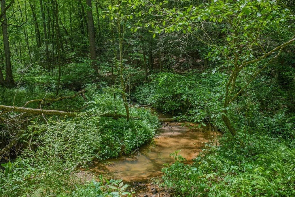 153 January Lane, Ellijay GA 30540 - Photo