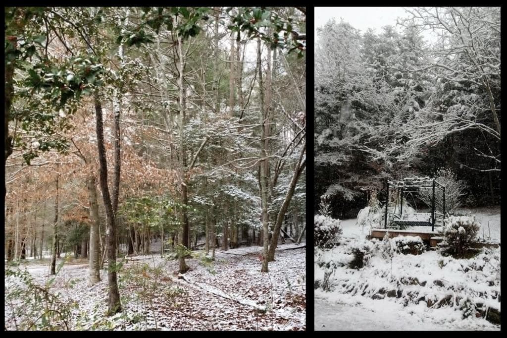 153 January Lane, Ellijay GA 30540 - Photo