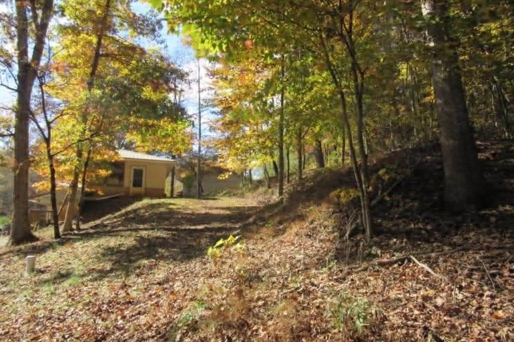 153 January Lane, Ellijay GA 30540 - Photo