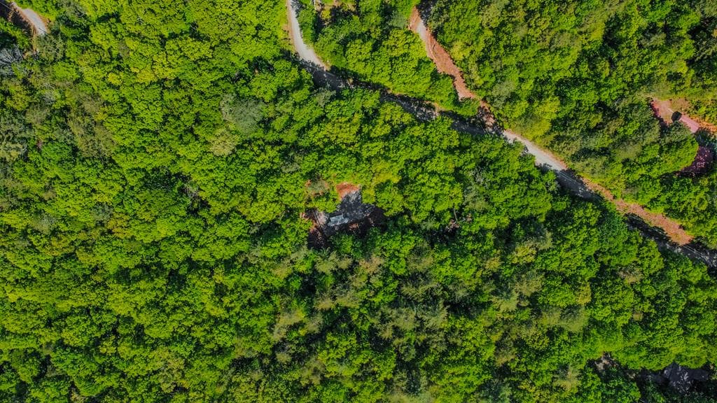1472 Nugget Lane, Ellijay GA 30540 - Photo