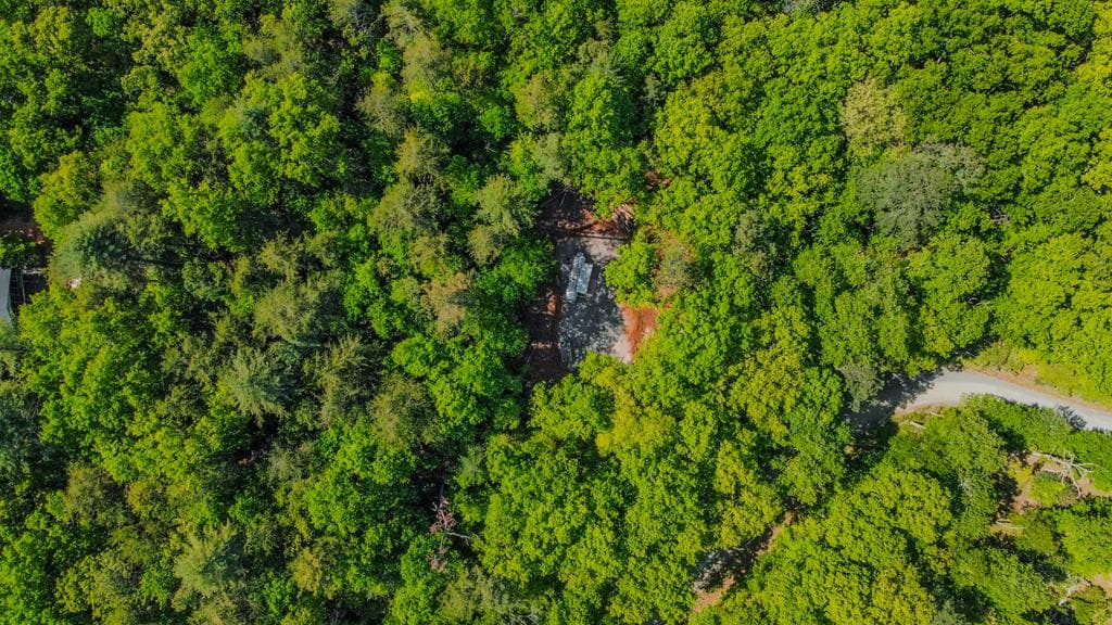 1472 Nugget Lane, Ellijay GA 30540 - Photo