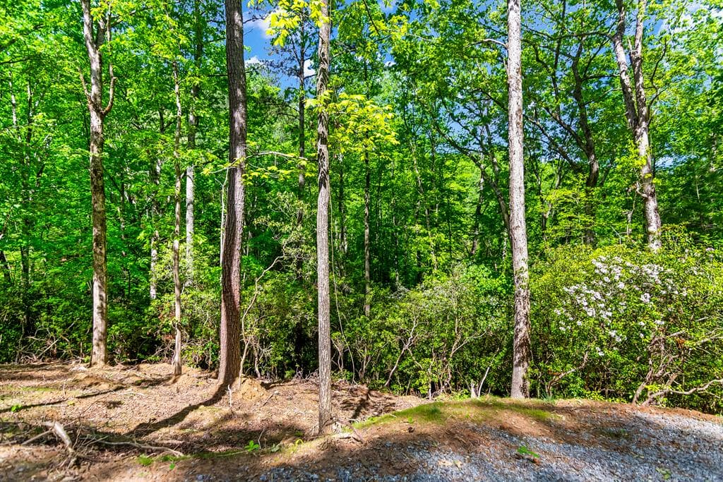 1472 Nugget Lane, Ellijay GA 30540 - Photo