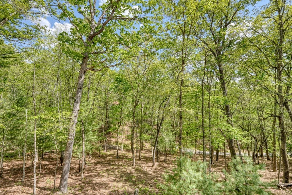 100 Fern Cove Lane, Murphy NC 28906 - Photo