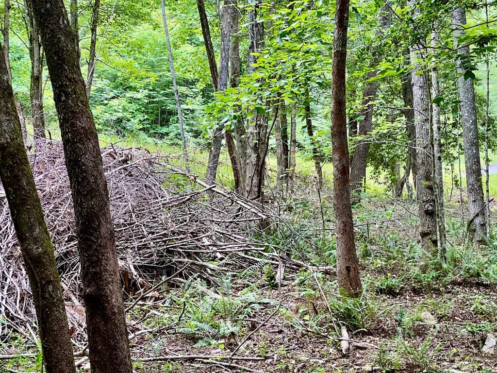 Lot 4 Lower Fox Trail, Blairsville GA 30512 - Photo