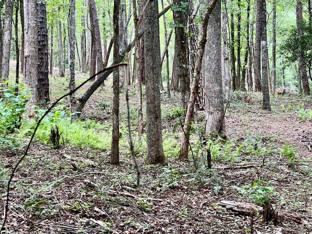 Lot 4 Lower Fox Trail, Blairsville GA 30512 - Photo