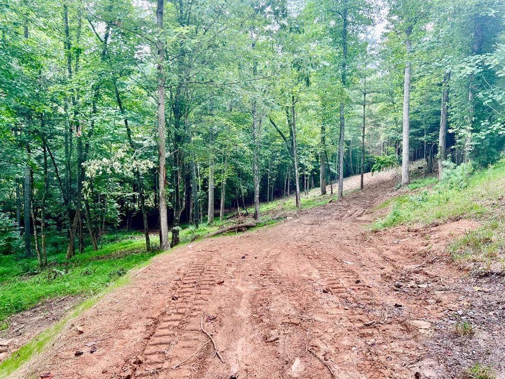 Lot 4 Lower Fox Trail, Blairsville GA 30512 - Photo