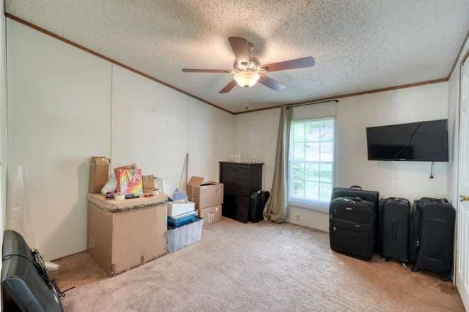 5359 Owltown Road, Blairsville GA 30512 - Photo