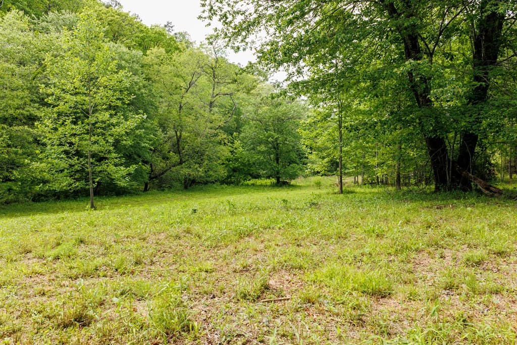 0 Galloway Road, Blue Ridge GA 30513 - Photo