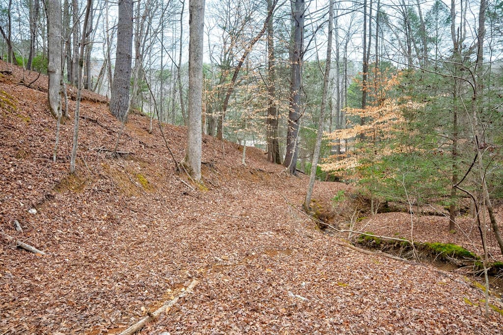 8 acres Brunton Circle, Ellijay GA 30540 - Photo