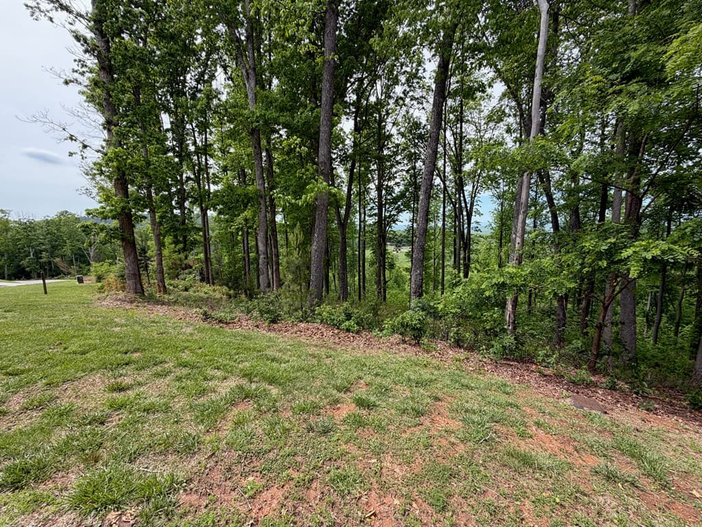 Lot 140 Highland Park, Blairsville GA 30512 - Photo