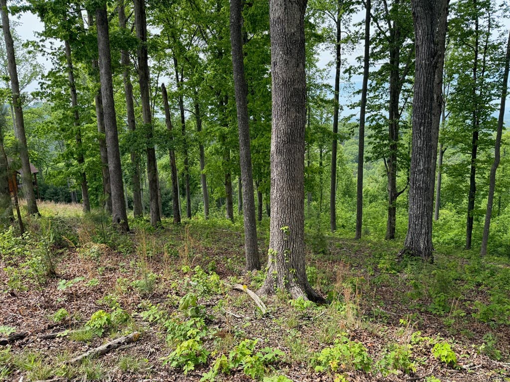 Lot 140 Highland Park, Blairsville GA 30512 - Photo